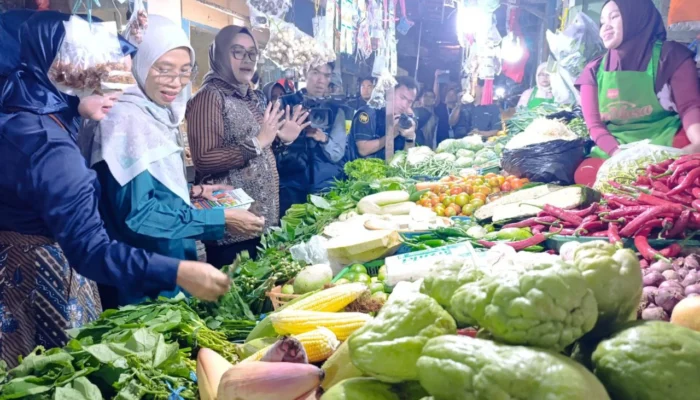 Sidak Pasar Maricaya Jelang Hari Raya, Komisi IX DPRRI Pastikan Pangan Bebas Formalin dan Rhodamin B