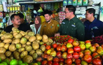 Sidak Bapannas di Pasar Tramo Maros, Telur Tembus Rp30 Ribu/Kg dan Cabai Rawit Rp60 Ribu 6 Sidak Bapannas di Pasar Tramo Maros, Telur Tembus Rp30 Ribu/Kg dan Cabai Rawit Rp60 Ribu