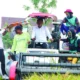 Panen di Dua Lokasi Sehari, Bupati Sidrap Targetkan Produksi Padi Walatedong Tembus 10 Ton per Hektare