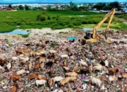 Pemkot Makassar Matangkan Rencana PLTSa Antang, Masih Tahap Kajian