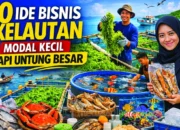 10 Ide Bisnis Kelautan Modal Kecil Tapi Untung Besar, Peluang Menjanjikan di Daerah Pesisir