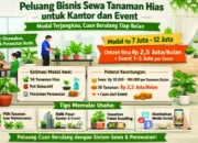 Peluang Bisnis Sewa Tanaman Hias untuk Kantor dan Event: Modal Terjangkau, Cuan Berulang Tiap Bulan