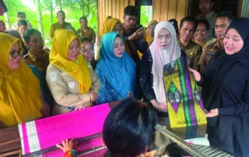 Didorong Naik Kelas, Tenun Emas Sidrap Bidik Pasar Lebih Luas 7 Didorong Naik Kelas, Tenun Emas Sidrap Bidik Pasar Lebih Luas