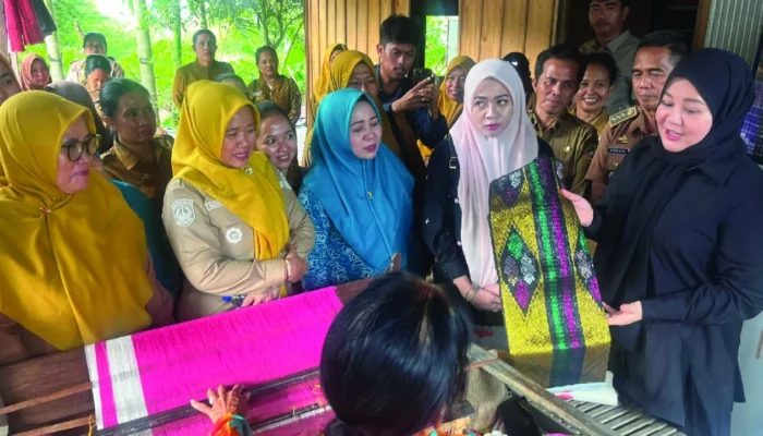 Didorong Naik Kelas, Tenun Emas Sidrap Bidik Pasar Lebih Luas