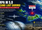 Gempa M5,0 Guncang Laut Saringi, BMKG Catat Aktivitas Seismik Meningkat Sepekan Terakhir