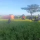 Atasi Sawah Petani Terdampak Kekeringan, Bupati Jeneponto Terjunkan Mobil Damkar Antarkan Air ke Persawahan