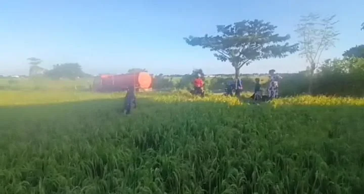 Atasi Sawah Petani Terdampak Kekeringan, Bupati Jeneponto Terjunkan Mobil Damkar Antarkan Air ke Persawahan