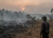 Kemarau Panjang 2026, Ancaman Karhutla Mengintai Sulsel