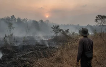 Kemarau Panjang 2026, Ancaman Karhutla Mengintai Sulsel 5 kemarau