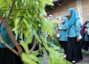 TP PKK Makassar Genjot Ketahanan Pangan Lewat Kebun Aku Hatinya