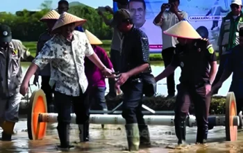 Pemkab Pangkep Mulai Transformasi Pertanian Modern, MYL Pimpin Tanam Perdana Padi PM-AAS 7 Pemkab Pangkep Mulai Transformasi Pertanian Modern, MYL Pimpin Tanam Perdana Padi PM-AAS
