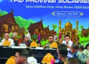 Cabai di Sulsel Tinggal Tahan 3 Hari, Wagub Fatmawati Minta Daerah Bergerak Cepat