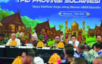 Cabai di Sulsel Tinggal Tahan 3 Hari, Wagub Fatmawati Minta Daerah Bergerak Cepat 6 Cabai di Sulsel Tinggal Tahan 3 Hari, Wagub Fatmawati Minta Daerah Bergerak Cepat