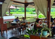Kuliner Bernuansa Alam dan Sejarah Keluarga, Kalua Resto & Cafe Jadi Daya Tarik Baru di Toraja Utara