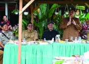 Appi Ingin Urban Farming Menyebar ke Seluruh Kelurahan di Makassar