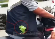 Maxim Siap Bantu Polisi Usut Kekerasan terhadap Driver di Makassar