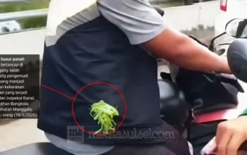 Maxim Siap Bantu Polisi Usut Kekerasan terhadap Driver di Makassar 6 Maxim Siap Bantu Polisi Usut Kekerasan terhadap Driver di Makassar