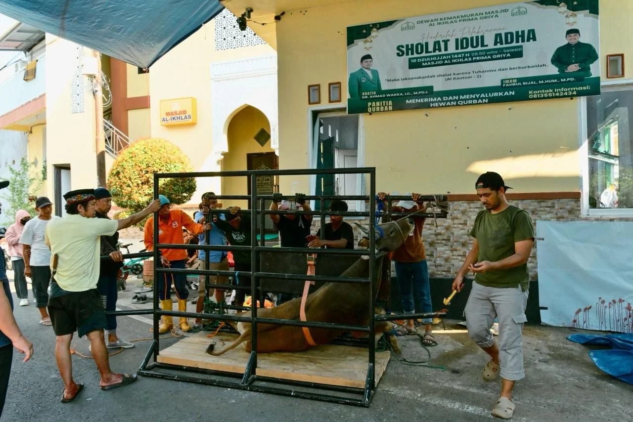 Masjid Al Ikhlas Prima Griya Sembelih Delapan Sapi Kurban, 240 Kupon Dibagikan ke Warga