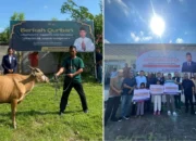 Di Jeneponto, Ahmad Daeng Se’re Serahkan Bantuan PIP dan Sapi Kurban untuk Masyarakat