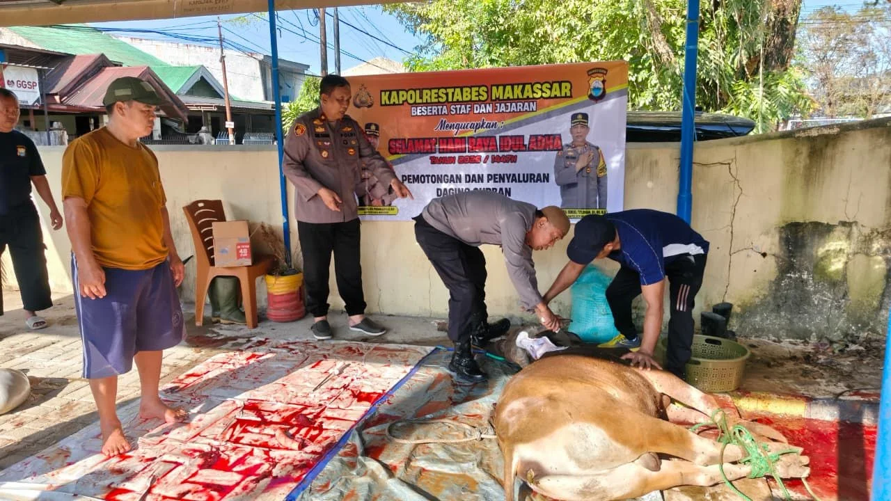 Polsek Manggala Tebar Kepedulian, Dua Sapi Kurban Disalurkan ke Masyarakat 2 Polsek Manggala Tebar Kepedulian, Dua Sapi Kurban Disalurkan ke Masyarakat
