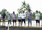 Bupati Syaharuddin Tanam Padi Organik di Baranti, Hasil Petani Capai Rp150 Juta per Hektare
