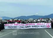 Luwu Raya Hanya Nikmati 10 Persen Belanja Pembangunan, Pemekaran Dinilai Jadi Solusi 7 Demo Warga Luwu