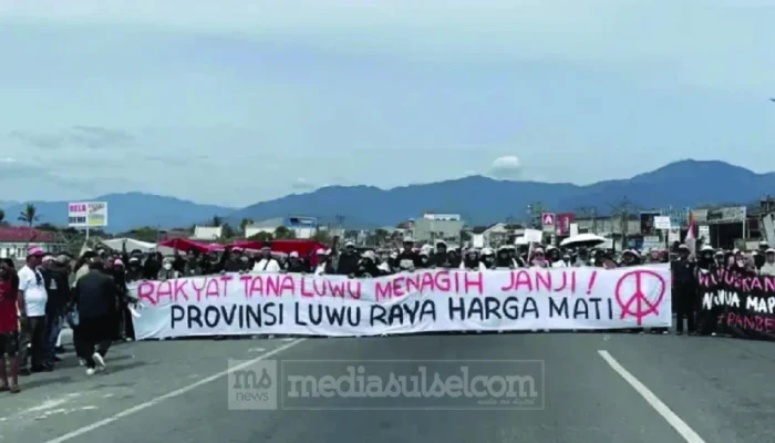 Luwu Raya Hanya Nikmati 10 Persen Belanja Pembangunan, Pemekaran Dinilai Jadi Solusi