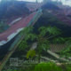 Gempa Palu