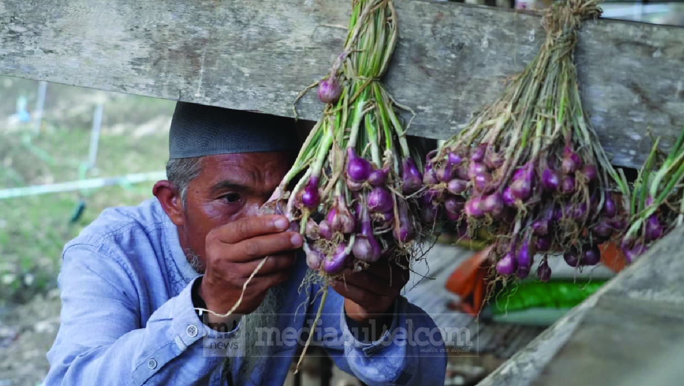 PLN Enrekang3