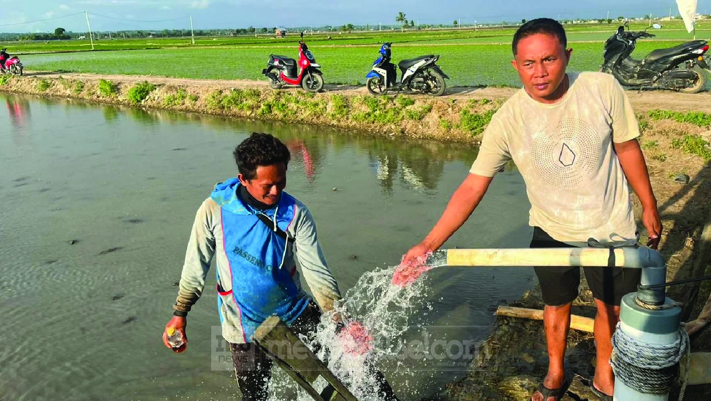 Petani Pengguna PLN