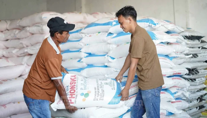 Produksi Beras Indonesia Naik di Tengah Ancaman Krisis Pangan Global, Stok Pupuk Subsidi Masih Aman