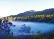 Agrowisata Bonto Lojong, Negeri di Atas Awan dari Lereng Rumbia 11 bonto lojong