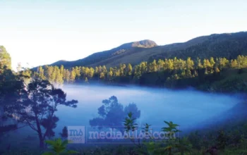 Agrowisata Bonto Lojong, Negeri di Atas Awan dari Lereng Rumbia 6 bonto lojong