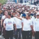 Anti Mager Torut