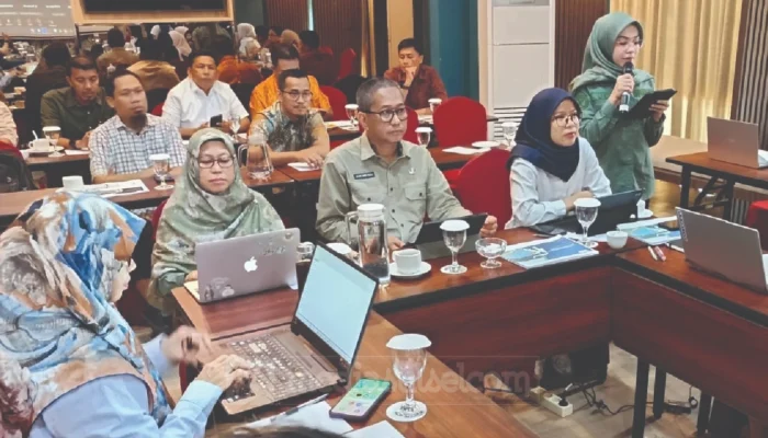 Teluk Bone Disiapkan Jadi Episentrum Lumbung Pangan Nasional, Daerah Ajukan Infrastruktur Strategis ke Kementerian PU