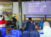 KKN-PK Unhas Edukasi Ibu Hamil di Sidrap, Dorong Pencegahan Stunting Sejak 1.000 Hari Pertama Kehidupan 9 KKN PK Unhas Kulo1