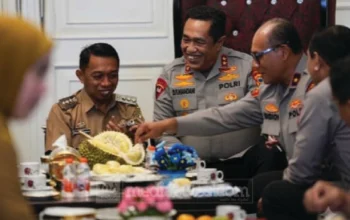 Kapolda Sulsel Kunjungi Sidrap, Bupati Syaharuddin Alrif Perkuat Sinergi Keamanan Sambil Promosikan Durian Lokal 1 Kapolda Sulsel Kunjungi Sidrap