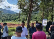 Ratusan Petani Laoli Berkumpul Tolak Pengosongan Lahan, Siap Bertahan Hadapi Rencana Pemkab Luwu Timur