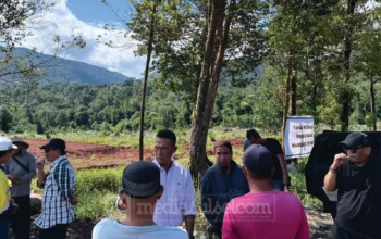 Ratusan Petani Laoli Berkumpul Tolak Pengosongan Lahan, Siap Bertahan Hadapi Rencana Pemkab Luwu Timur 1 Laoli1