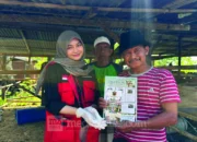Mahasiswa KKN Unhas Gandeng BPP Baranti Tingkatkan Kesehatan Sapi Lewat Program SAPA TERNAK di Sidrap