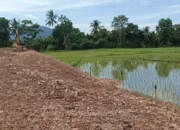 Akses Pelabuhan Tonra Gunakan Lahan Sawah, BMCKTR Klaim Tak Terpengaruh Perpres