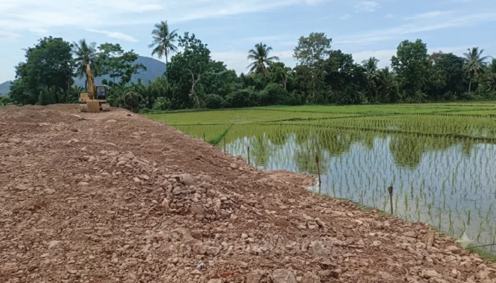 Akses Pelabuhan Tonra Gunakan Lahan Sawah, BMCKTR Klaim Tak Terpengaruh Perpres