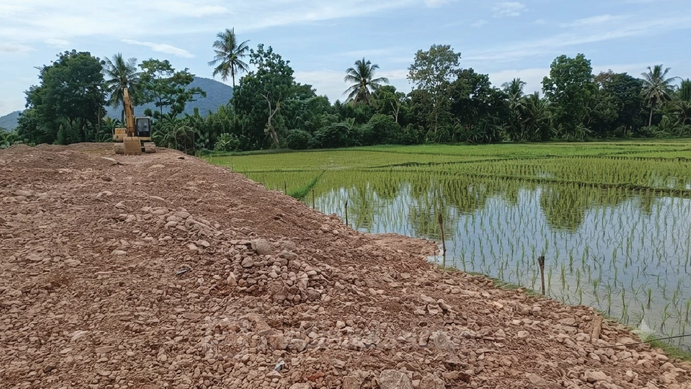 Timbun Sawah