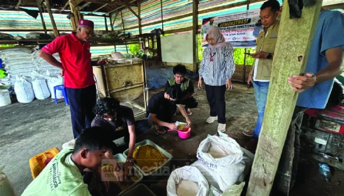 Unhas Ajari Peternak Bone Produksi Pakan Herbal, Tekan Biaya dan Tingkatkan Produktivitas Ayam