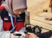 Mahasiswa KKN Unhas Gelar Cek Gula Darah Gratis, Warga Pajalele Antusias Ikuti Skrining Diabetes