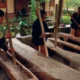 musik lesung DS Kemiren