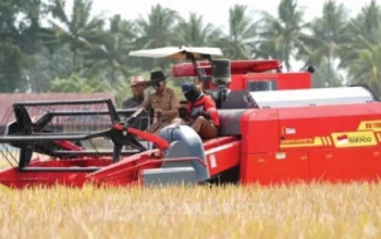 30 Combine Harvester Dikerahkan, Bupati Sidrap Pacu IP 300 Dongkrak Produksi Gabah