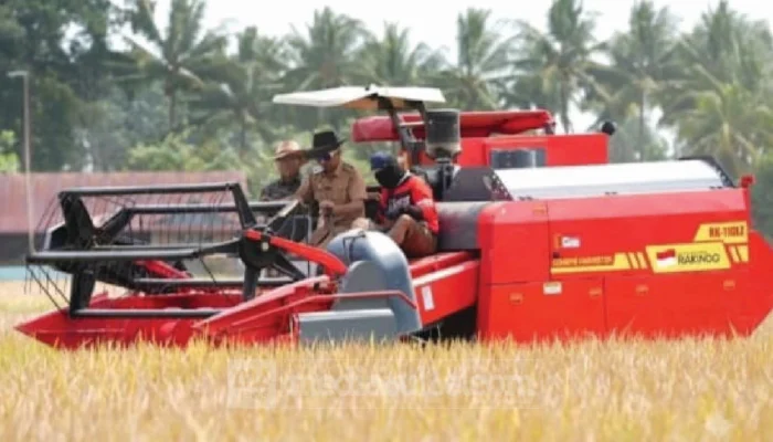 30 Combine Harvester Dikerahkan, Bupati Sidrap Pacu IP 300 Dongkrak Produksi Gabah