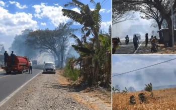 Lahan Kebun di Karamaka Jeneponto Terbakar, Warga Padamkan Api Sebelum Damkar Tiba