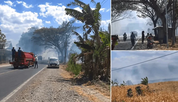Lahan Kebun di Karamaka Jeneponto Terbakar, Warga Padamkan Api Sebelum Damkar Tiba